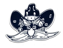 District Logo